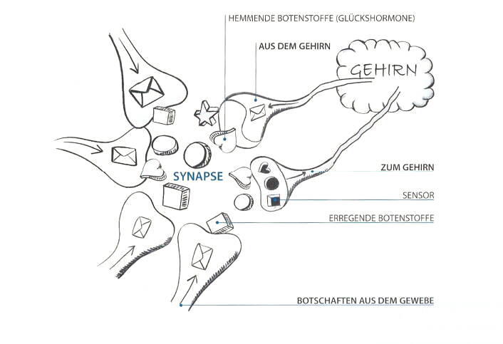 schmerzen-buttler-moseley-706_unsere-staerken.jpg